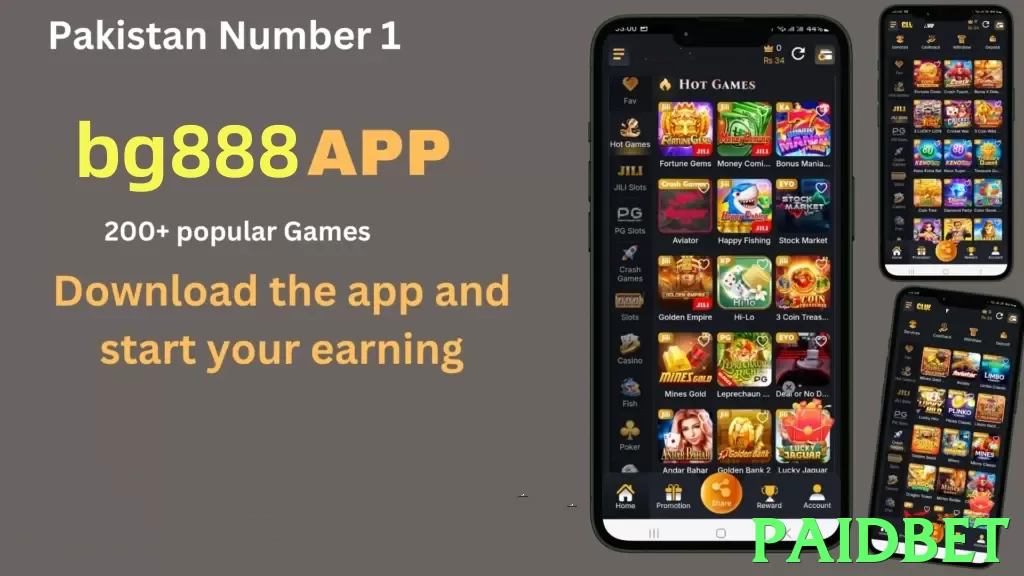 paidbet game app for Pakistan players - 3